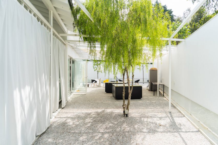 Outdoor courtyard with a tree and white diving curtains by Core Design Workshop