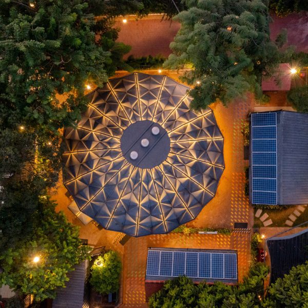 Darwin Bucky lit up at night