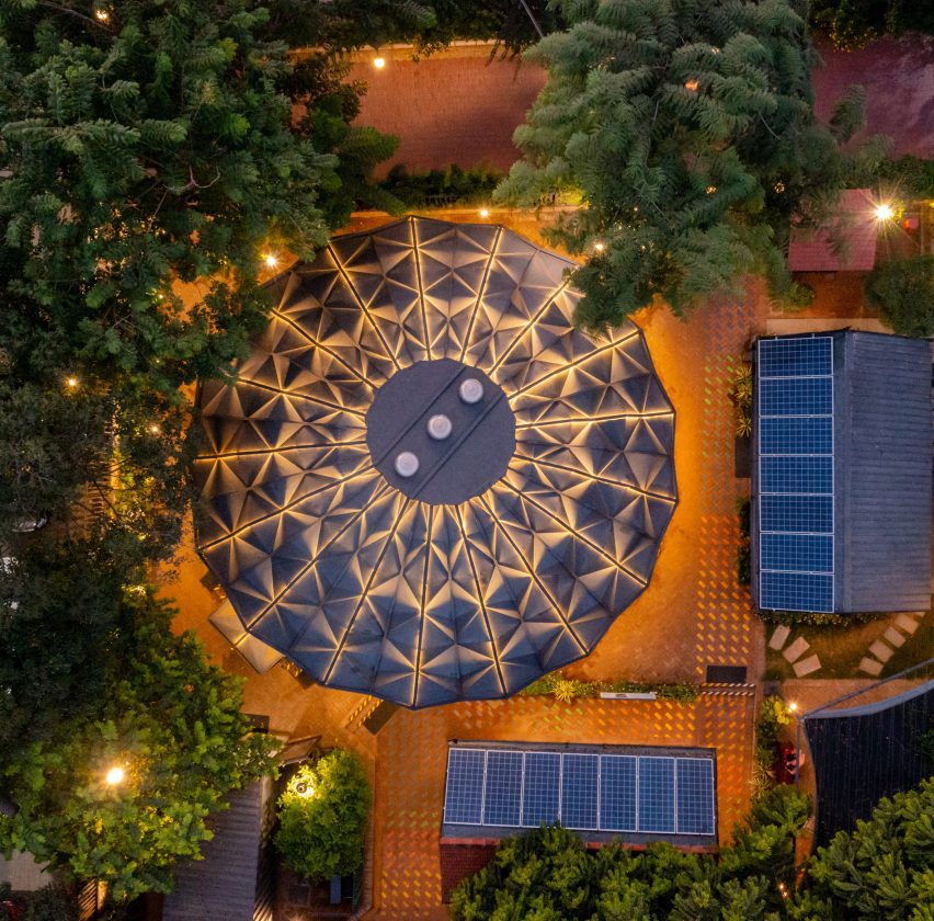 Darwin Bucky lit up at night