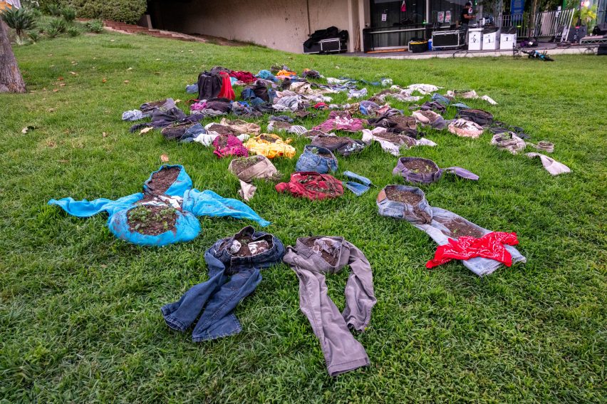 Clothes that are planted with small beds of grass and flowers