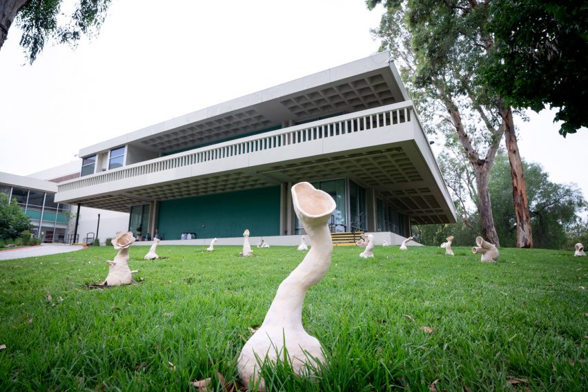 A bunch of worm-like ceramic sculptures dispersed throughtout a yard