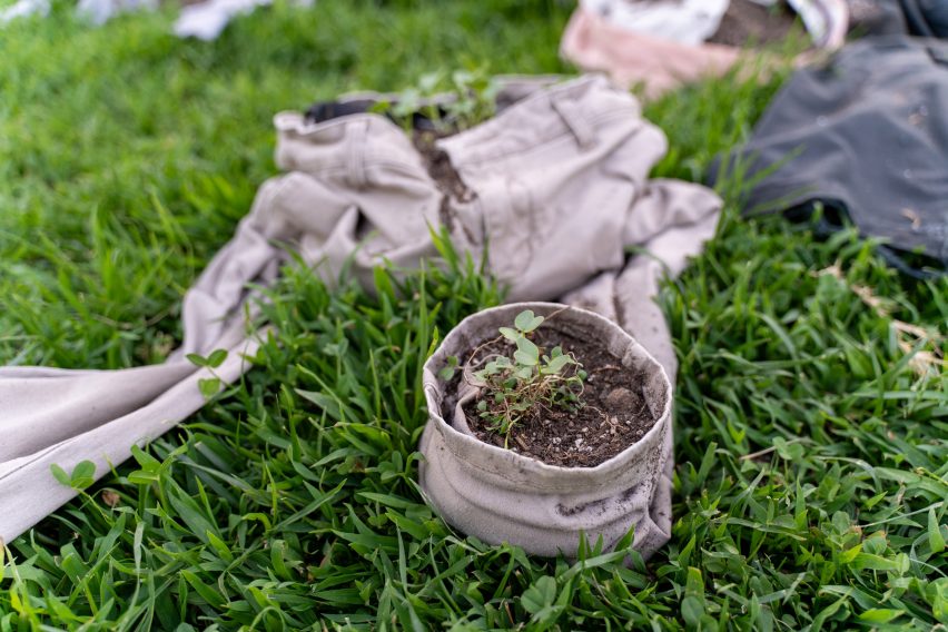 Pants that have a small planting bed nested inside