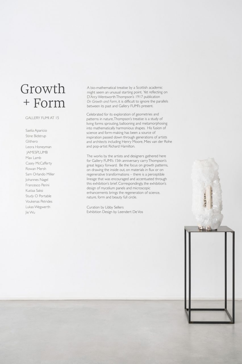 Growth and Form exhibition at Gallery Fumi