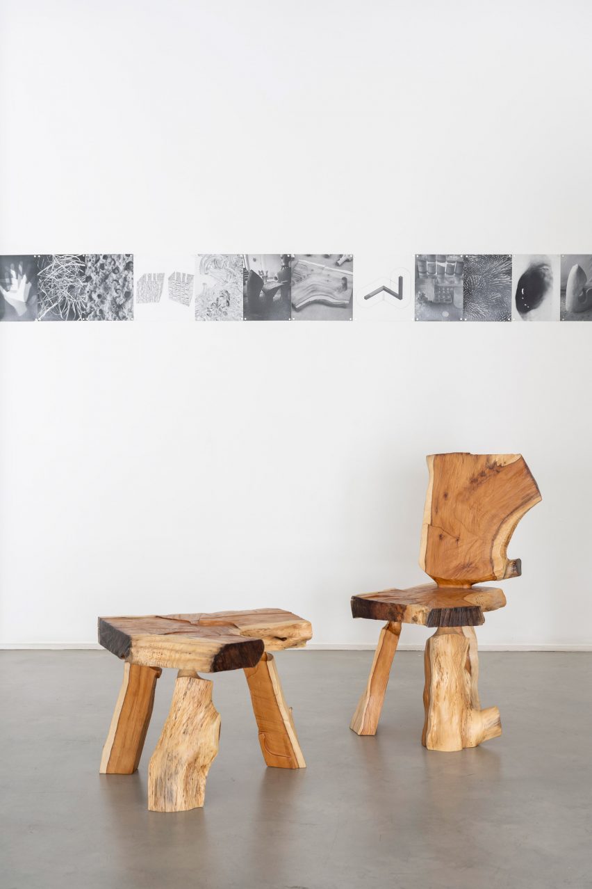 Wooden seating at the Growth and Form at Gallery Fumi