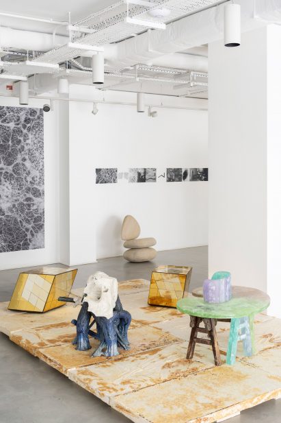 Furniture and art pieces at the Growth and Form exhibition at Gallery Fumi