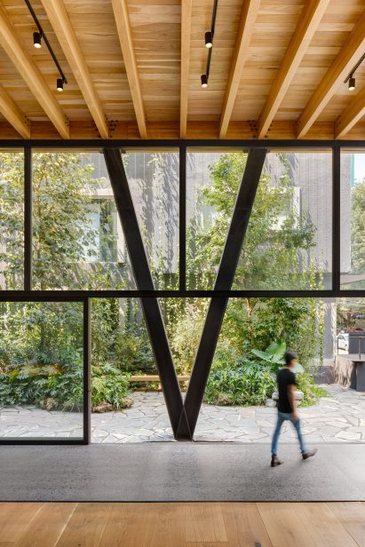 Steel truss on mass timber building in mexico