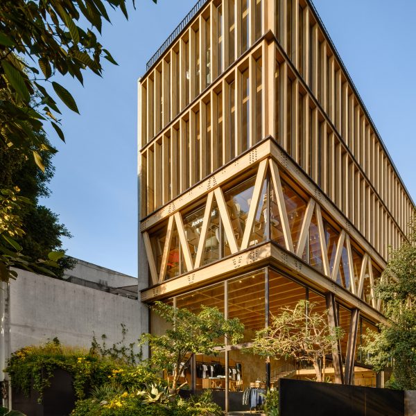 Dellekamp Scheich Mexico City mass timber