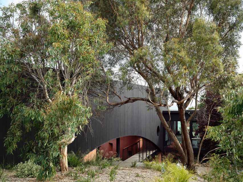 Charred timber exterior of Somers House by Kennedy Nolan surrounded by trees