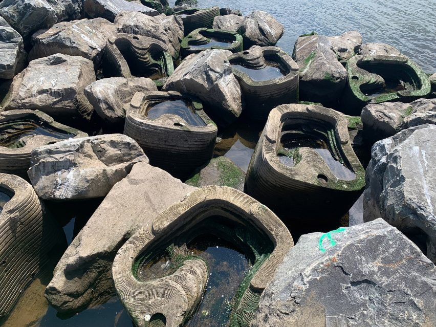 Living Breakwaters by Scape in New York City