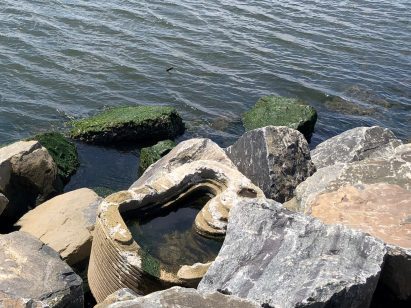 Closeup of Living Breakwaters by Scape