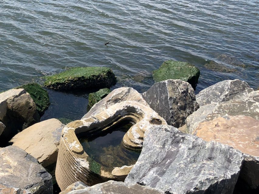 Living Breakwaters by Scape in New York City