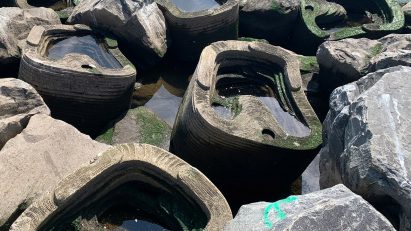 Living Breakwaters by Scape in New York City