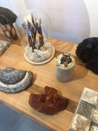 Mycelium Unearthed by Osmose Studio