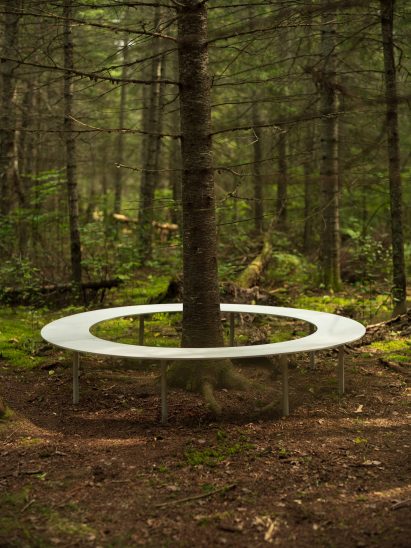A metal bench encircling a tree