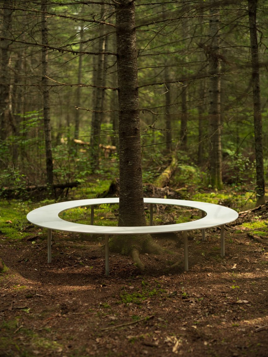 A metal bench encircling a tree
