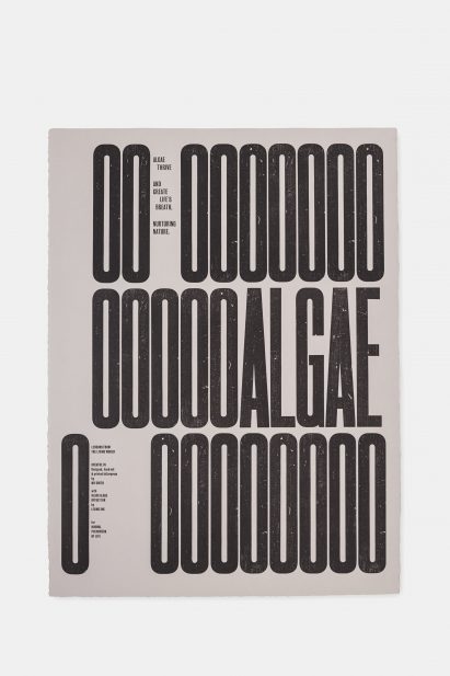 Image of print one in the series Lessons from the Living World: Breathe In Editions, with letterpress letters reading OO OOOOOOOOOOALGAE O OOOOOOO