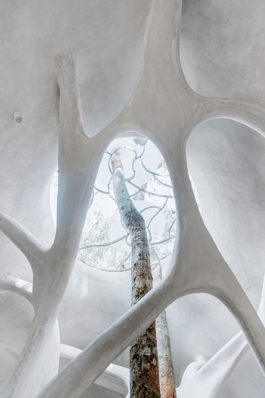 Organic concrete forms