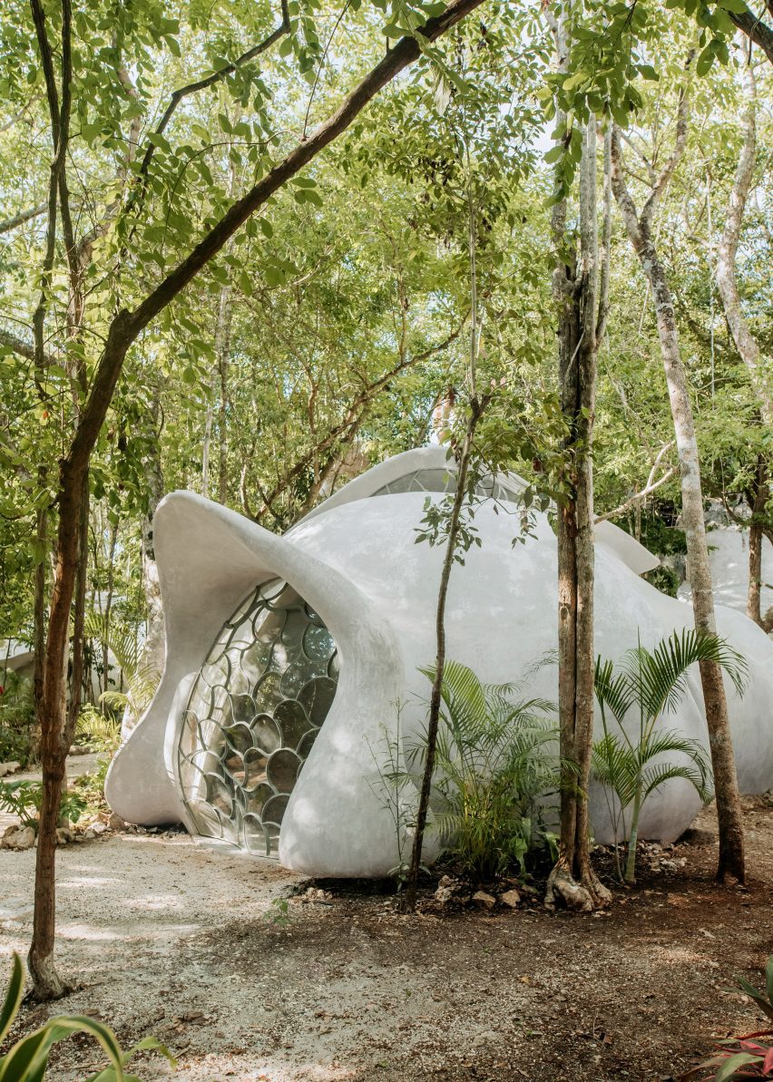 A little dome in the jungle