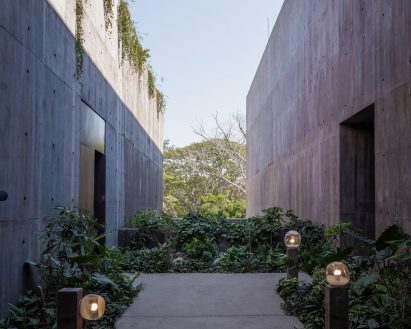 Plants and concrete walls in Mexico