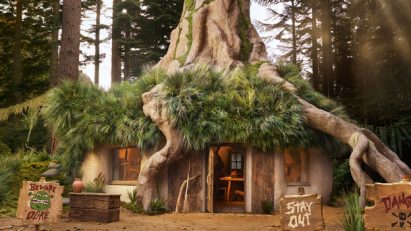 View of Shrek's Swamp home by Airbnb