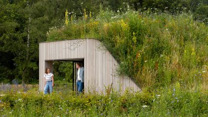 The House Under The Ground by WillemsenU with a grassy rooftop