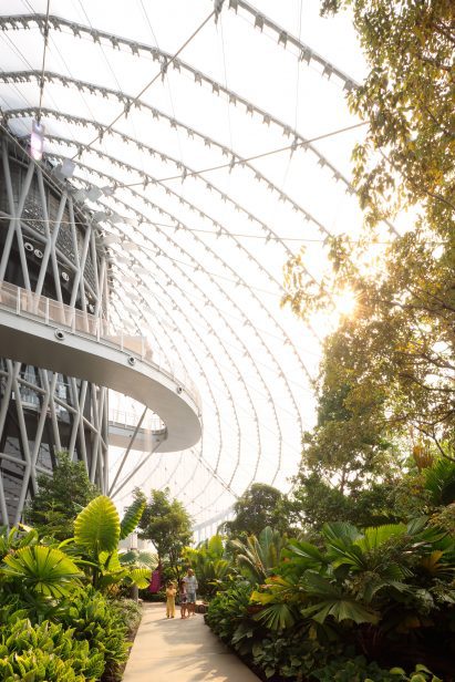 Sunlight shining through the translucent walls of a greenhouse