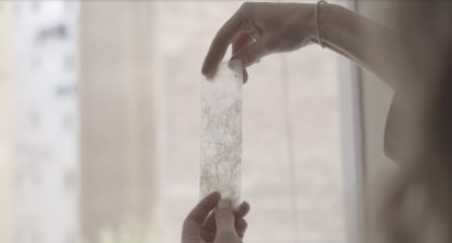 Photo of a biomaterial