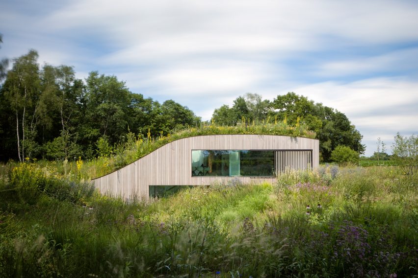 Grassy lawn growing over The House Under The Ground by WillemsenU