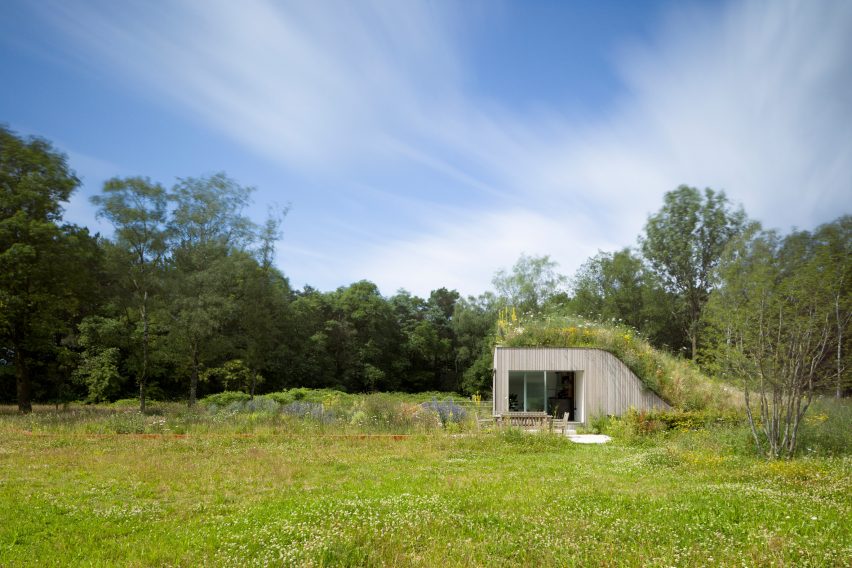 Grassy mound growing over The Under The Ground House by WillemsenU