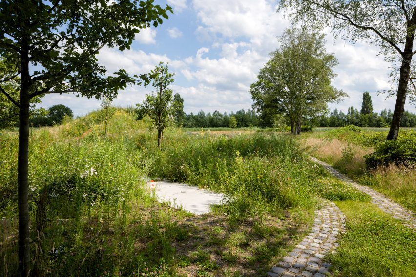 Grassy overgrown garden in Eindhoven