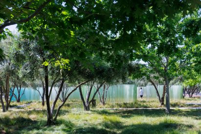 Glass cylinder sculpture seen through olive grove