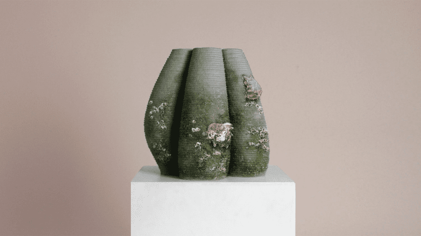ddw-resting-reef-1