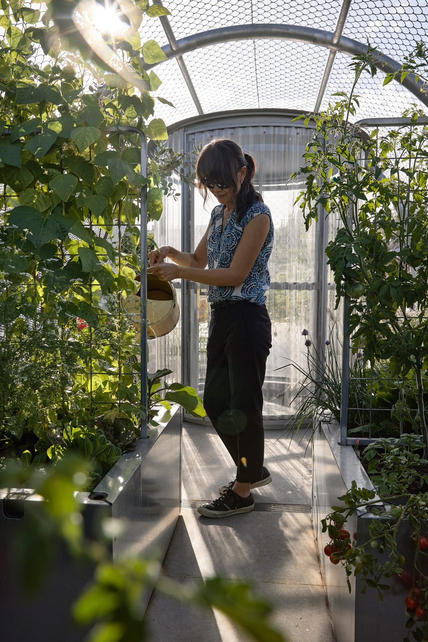 Person watering productive rooftop garden of Helvetia house in Melbourne
