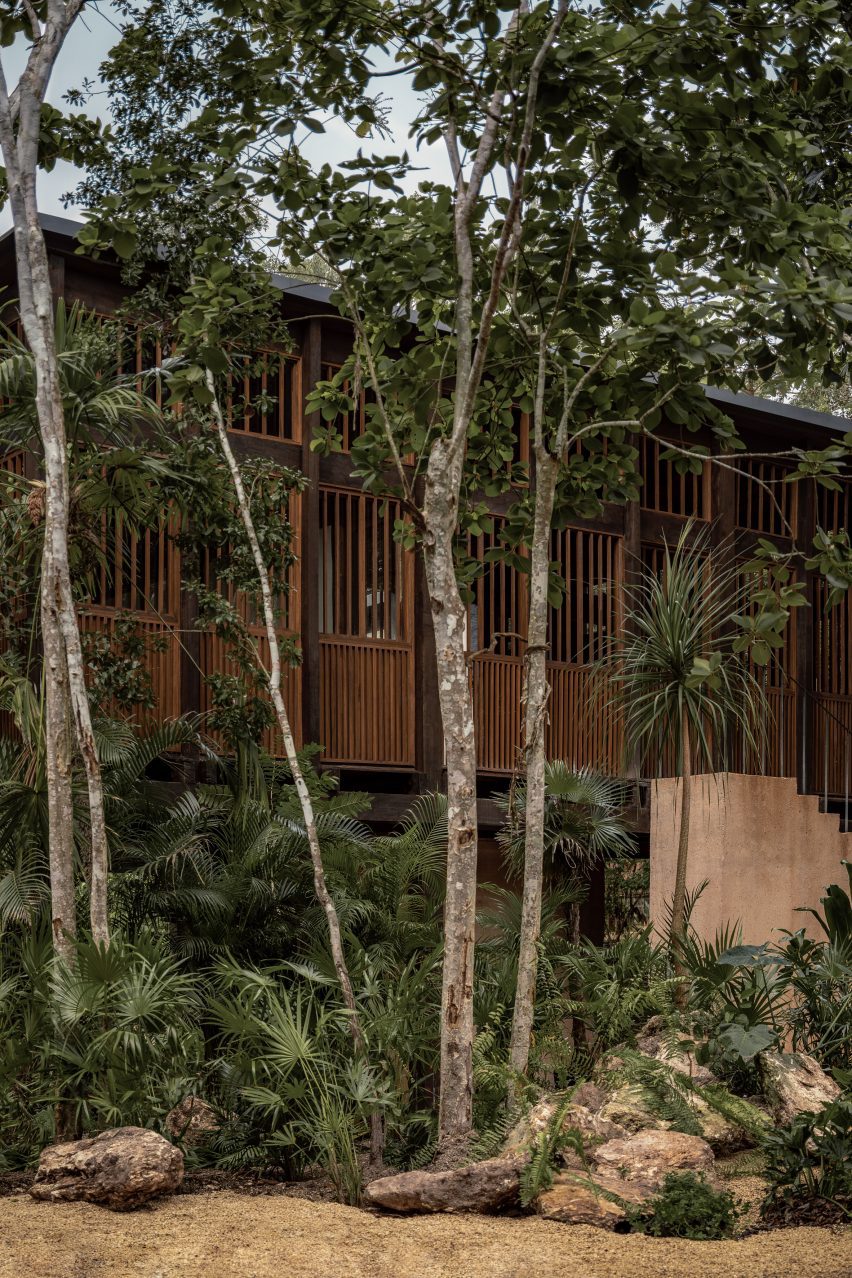 a wooden treehouse hotel in Mexico