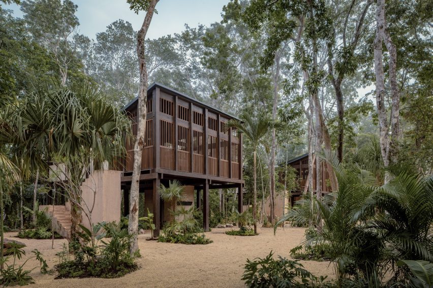 a wooden treehouse hotel in Mexico