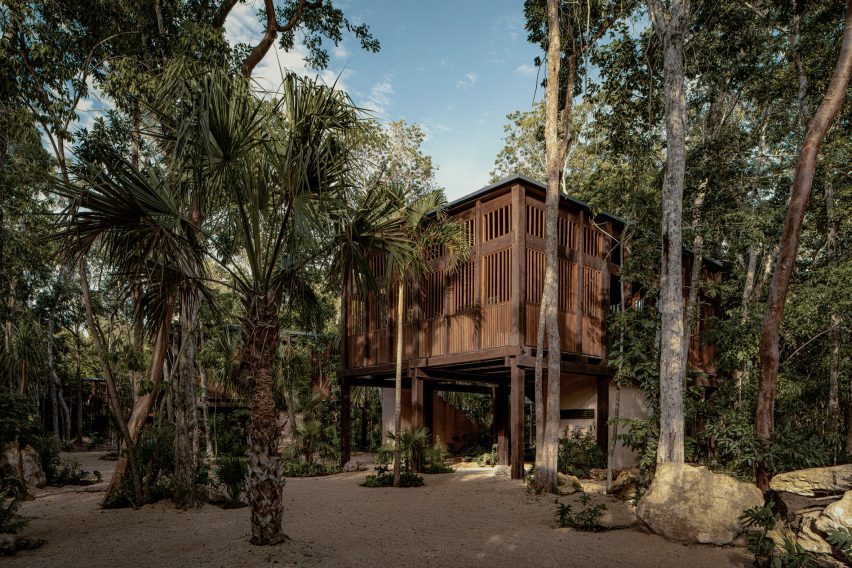 a wooden treehouse hotel in Mexico