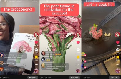 Meaty Aunties on TikTok