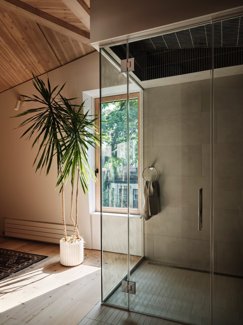 A glass shower with a plant next to it