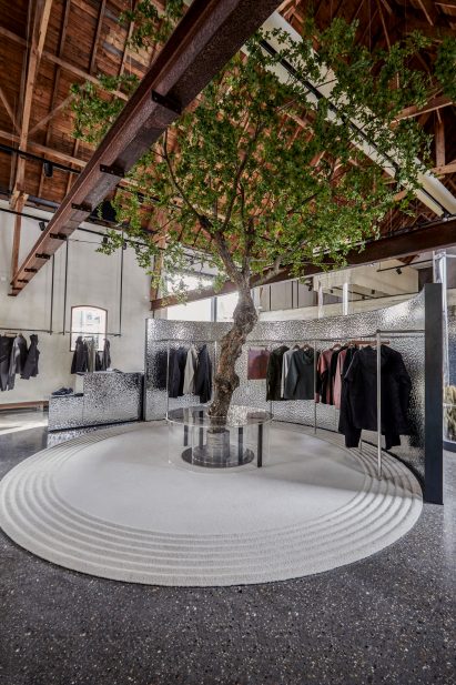 Tree inside Dutch store