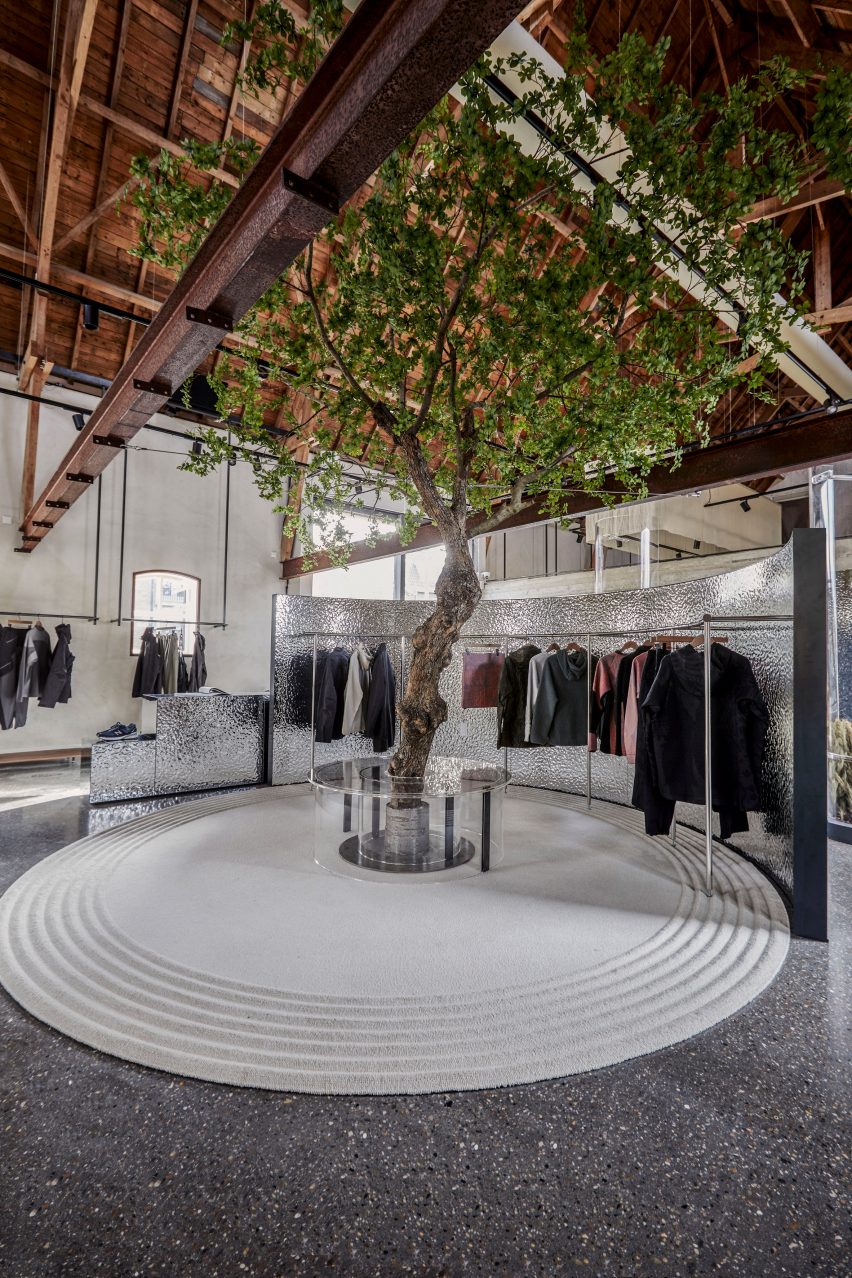 Tree inside Dutch store