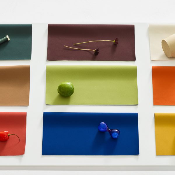 Full Spectrum collection by Carnegie Fabrics