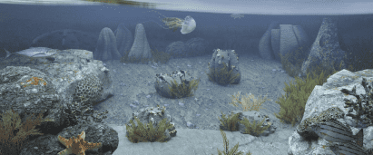 ddw-resting-reef