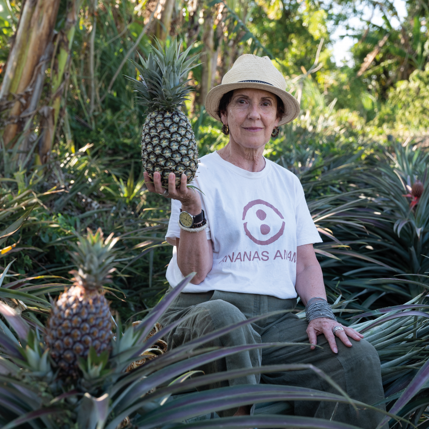 Carmen Hijosa, Ananas Anam