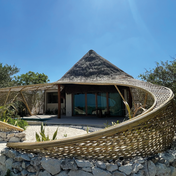 Basebioarquitectura