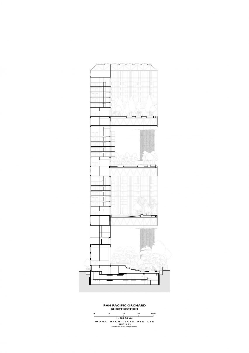 Section drawing of Pan Pacific Orchard by WOHA