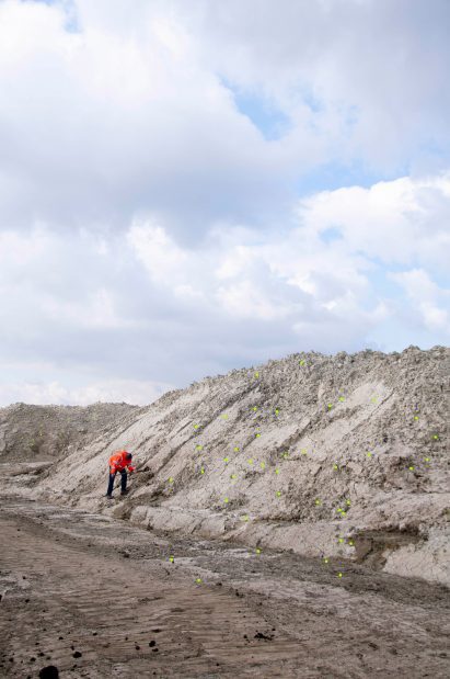 Depot of PFAS contaminated soil