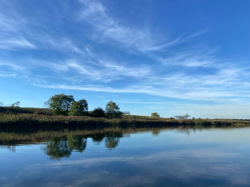 Marshland under a blue sky