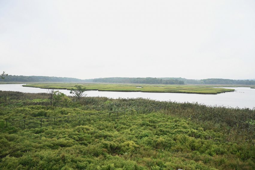 Marshland