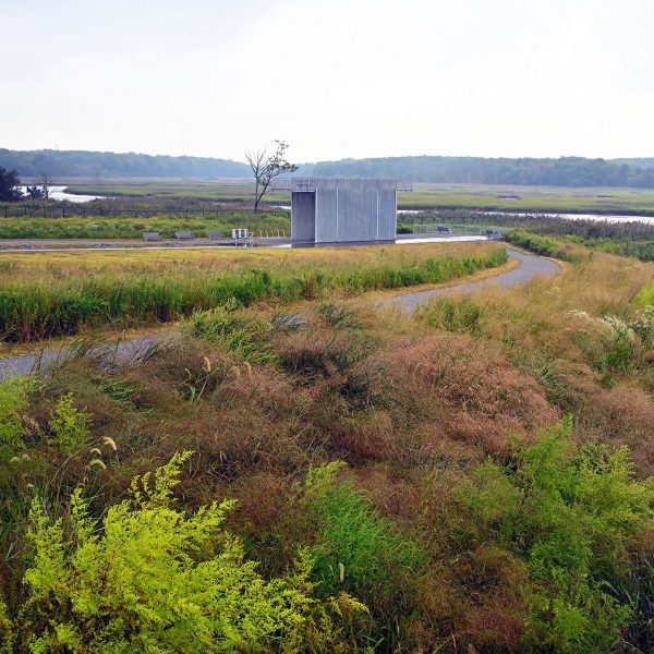 North Park at Freshskills Park in Staten Island