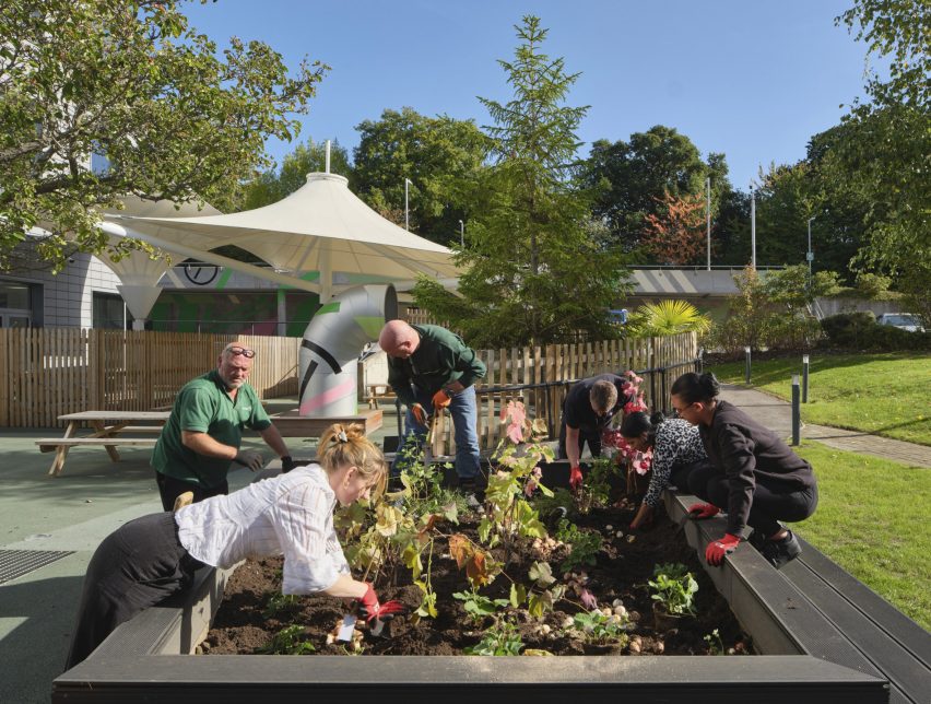 Outdoor planting area at the Here+Now office building by Hawkins\Brown